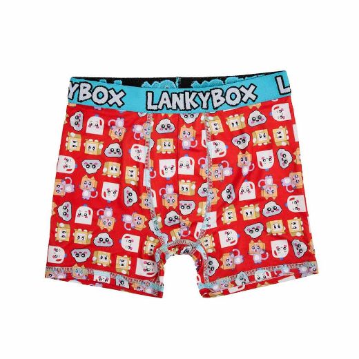 Picture of LankyBox Youth 5 Pack Boxer Briefs