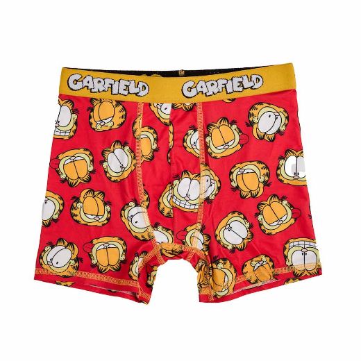 Picture of Garfield Youth 5 Pack Boxer Briefs