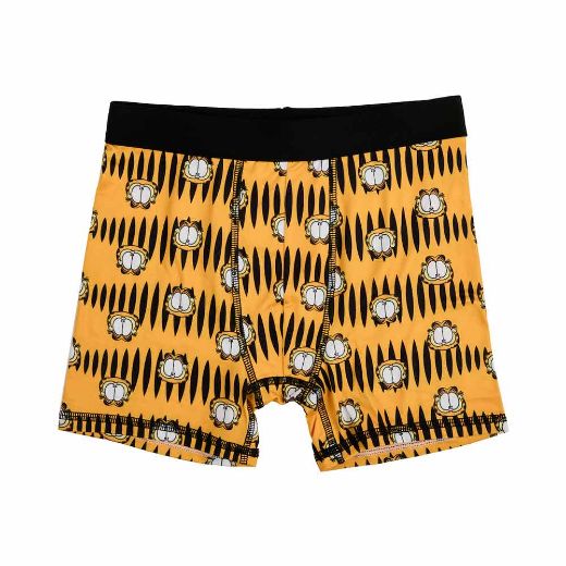 Picture of Garfield Youth 5 Pack Boxer Briefs