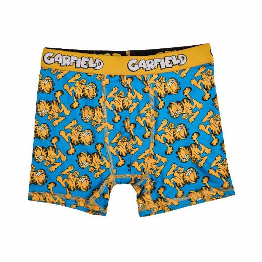 Picture of Garfield Youth 5 Pack Boxer Briefs