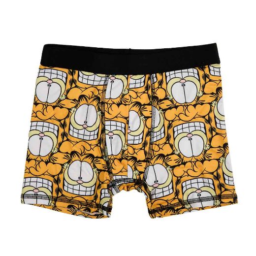 Picture of Garfield Youth 5 Pack Boxer Briefs