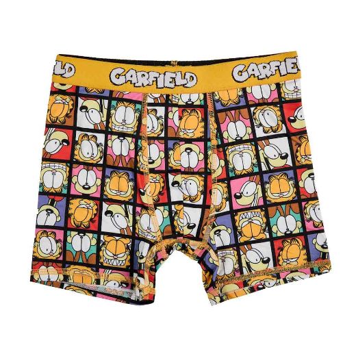 Picture of Garfield Youth 5 Pack Boxer Briefs