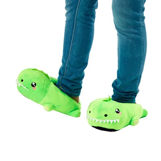 Picture of Bioworld Dino Youth 3D Plush Slippers