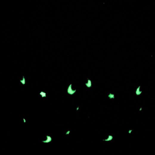 Picture of Bioworld Glow in the Dark Faux Fur Scuff Slipper