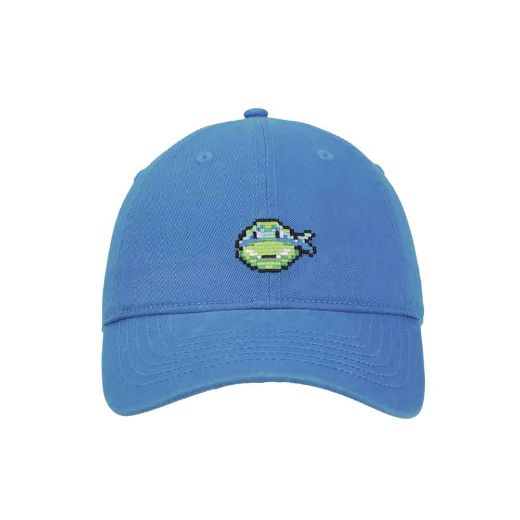 Picture of Teenage Mutant Ninja Turtles Leonardo Embroidered Hat