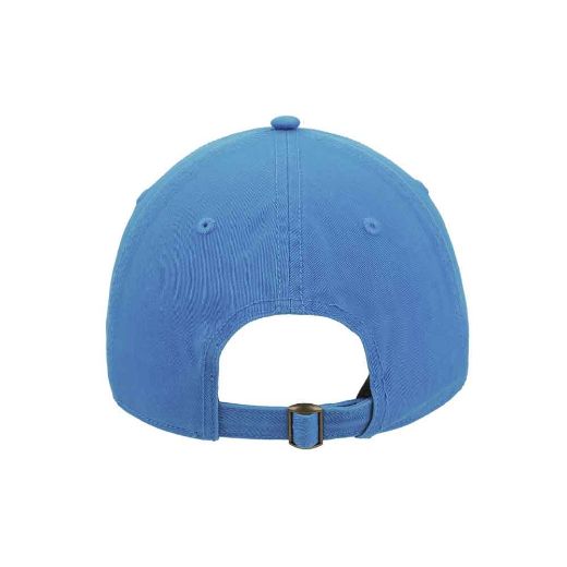 Picture of Teenage Mutant Ninja Turtles Leonardo Embroidered Hat