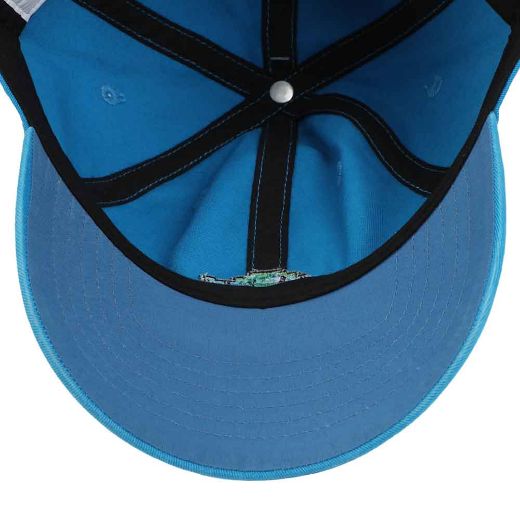 Picture of Teenage Mutant Ninja Turtles Leonardo Embroidered Hat