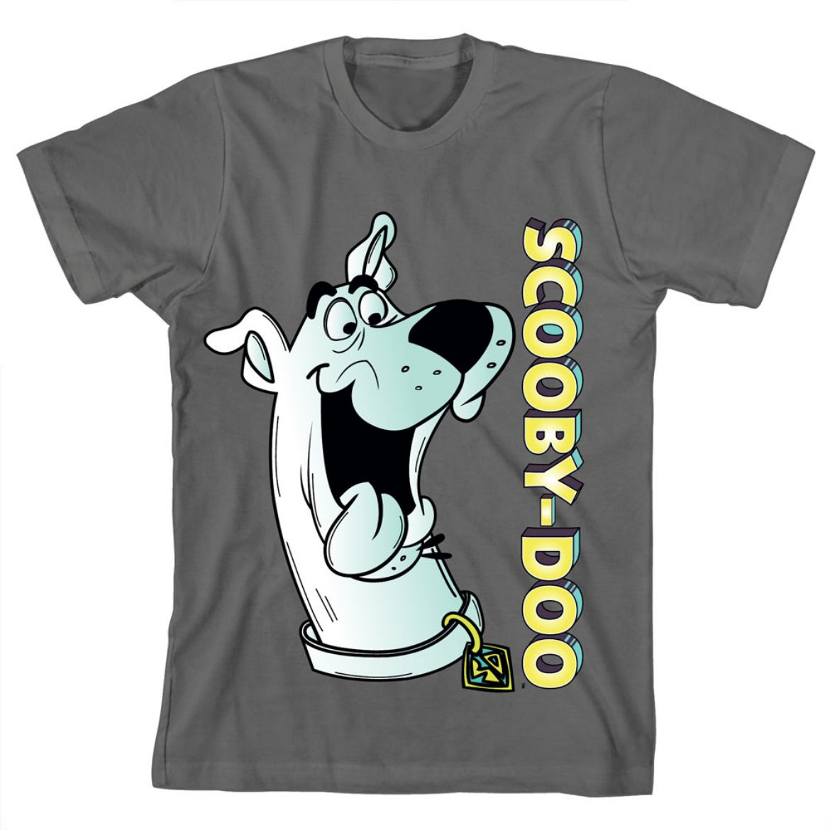 Picture of Scooby-Doo Oversized Art Unisex Youth Tee