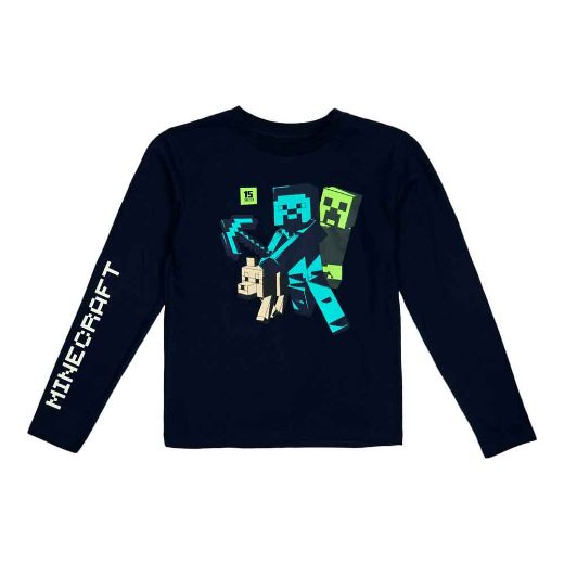 Picture of Minecraft Long & Short Sleeve Youth Tees Set
