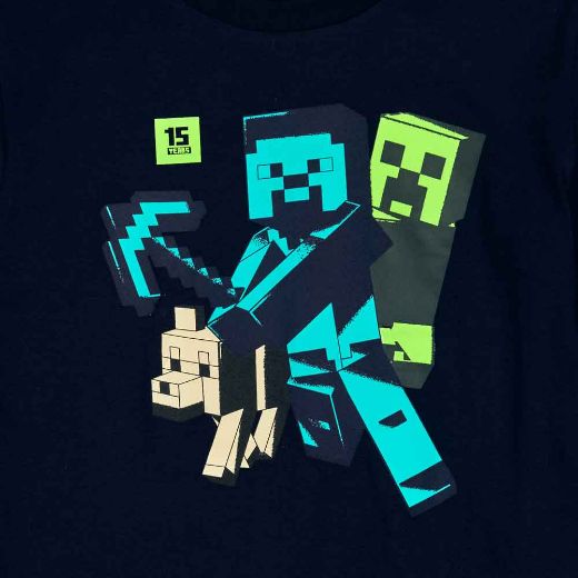 Picture of Minecraft Long & Short Sleeve Youth Tees Set