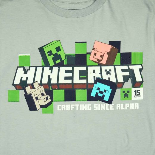 Picture of Minecraft Long & Short Sleeve Youth Tees Set