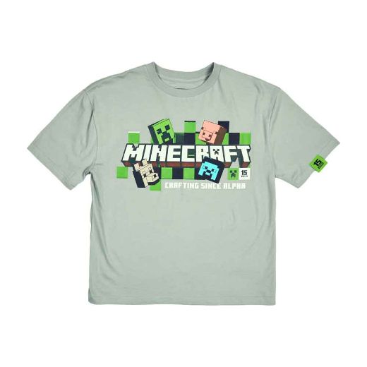 Picture of Minecraft Long & Short Sleeve Youth Tees Set