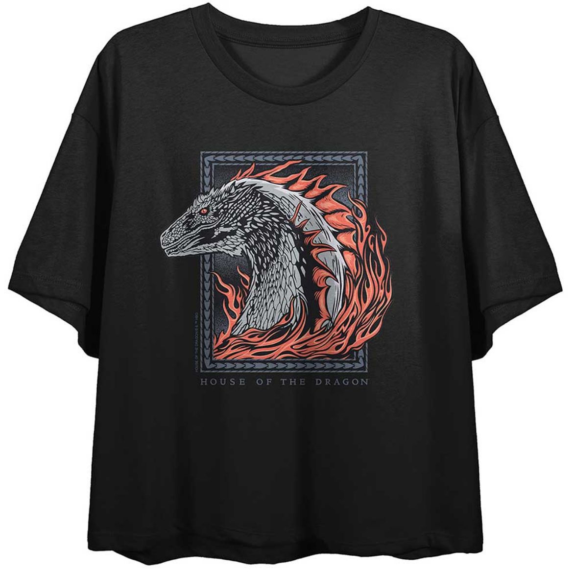 Picture of House of the Dragon Portrait Crop Tee