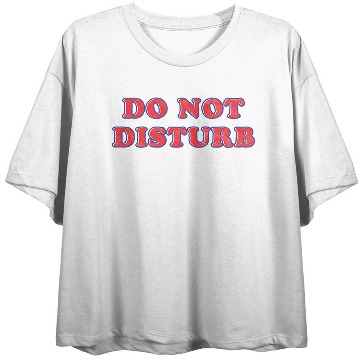 Picture of Bioworld Vintage Do Not Disturb Crop Tee