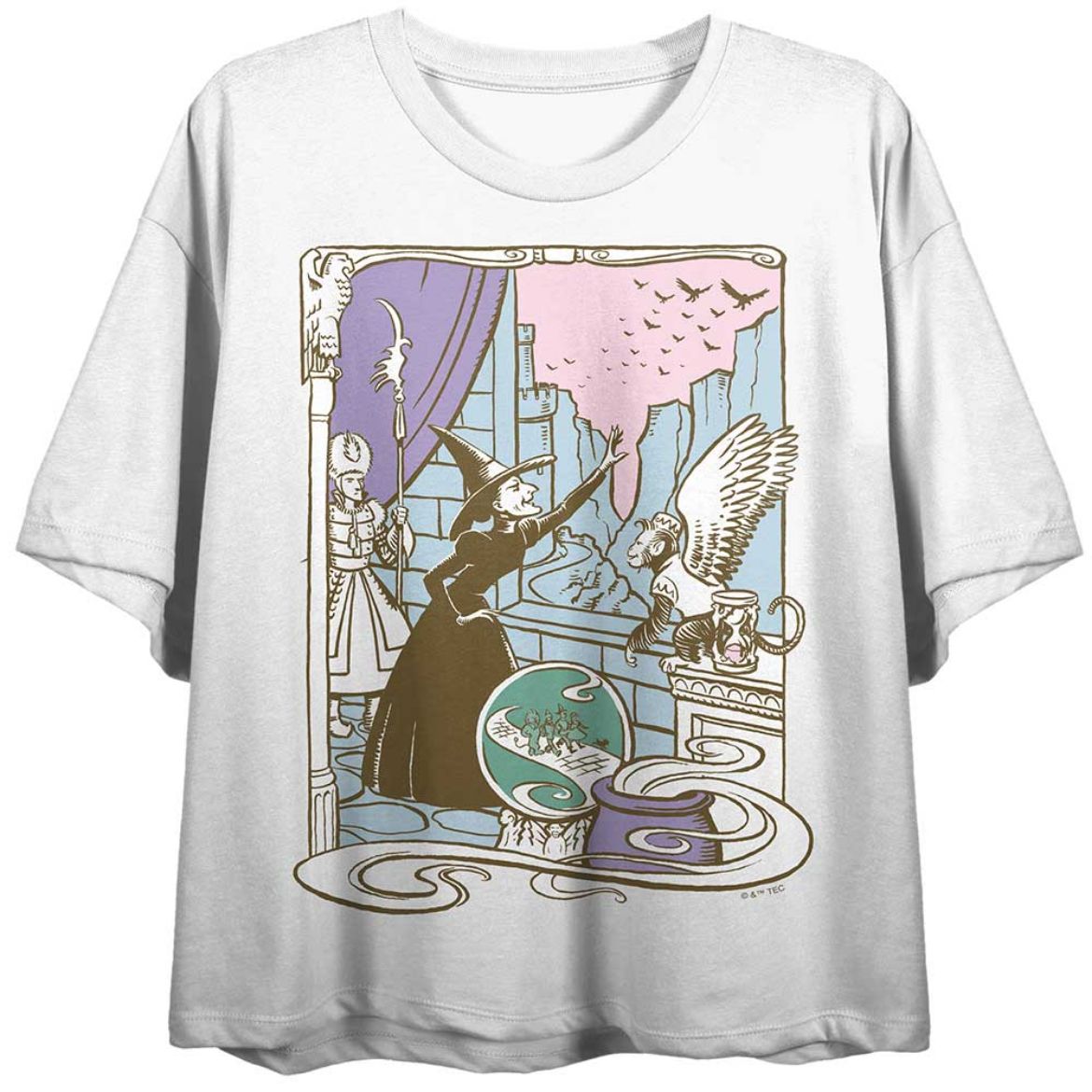 Picture of The Wizard of Oz Wicked Witch Crop Tee