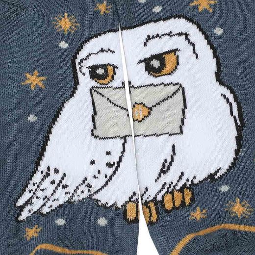 Picture of Harry Potter Hedwig Women's 5 Pair Ankle Socks
