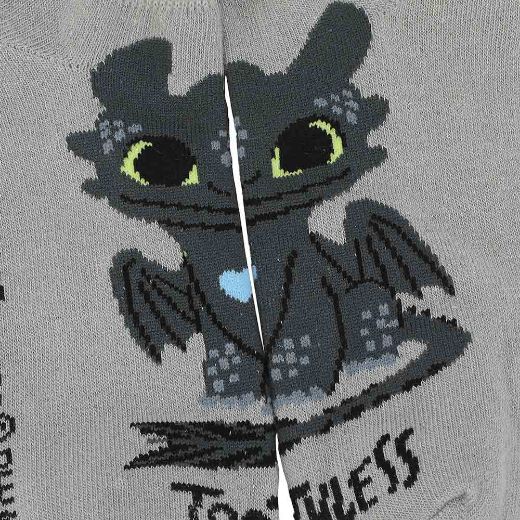 Picture of How To Train Your Dragon 5 Pair Ankle Socks