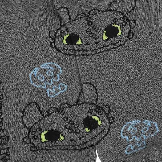 Picture of How To Train Your Dragon 5 Pair Ankle Socks