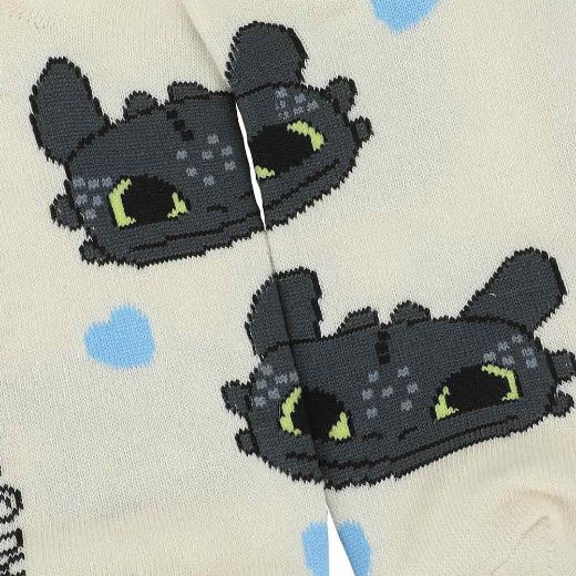 Picture of How To Train Your Dragon 5 Pair Ankle Socks