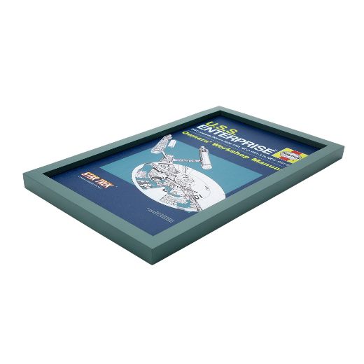 Picture of Star Trek 11x18 in. U.S.S Enterprise Framed  Print