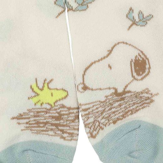 Picture of Peanuts Characters 5 Pair Ankle Socks 