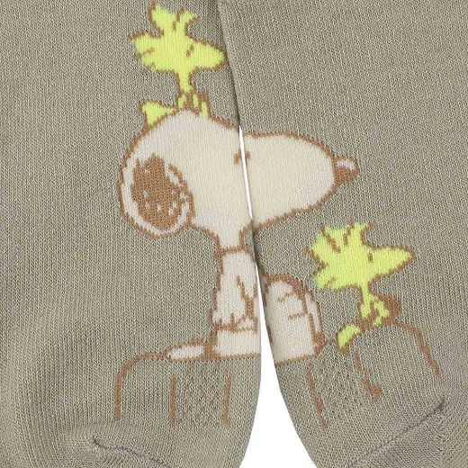 Picture of Peanuts Characters 5 Pair Ankle Socks 