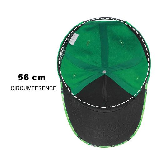 Picture of Minecraft Logo Youth Curved Bill Snapback