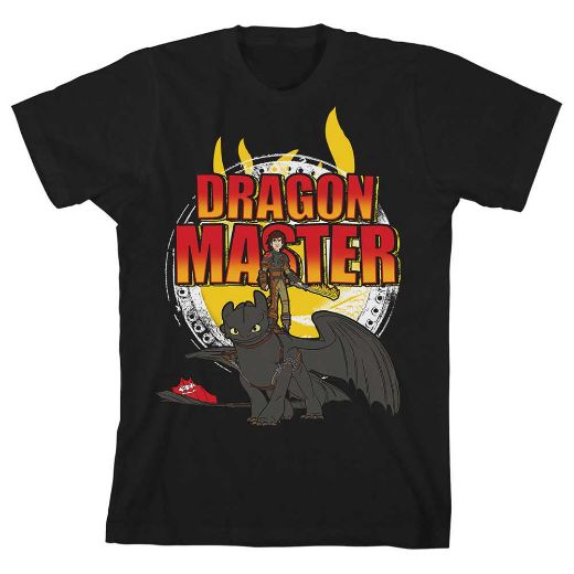 Picture of How to Train Your Dragon Master Logo Unisex Youth Tee