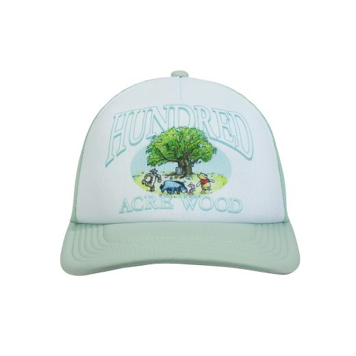 Picture of Disney Winnie The Pooh Mesh Trucker