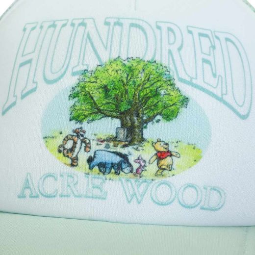 Picture of Disney Winnie The Pooh Mesh Trucker