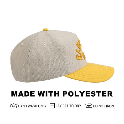 Picture of Pokemon Pikachu Electric Type Curved Bill Snapback