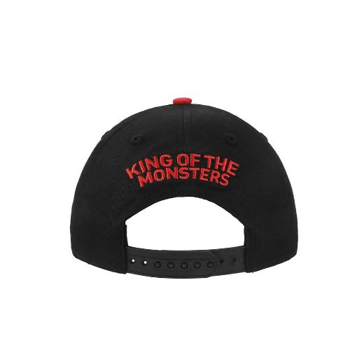 Picture of Godziila Logo Embroidered Hat