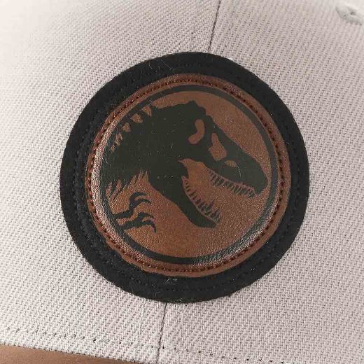 Picture of Jurassic Park Flat Bill Snapback
