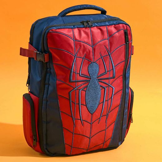 Picture of Marvel Spiderman Youth Backpack