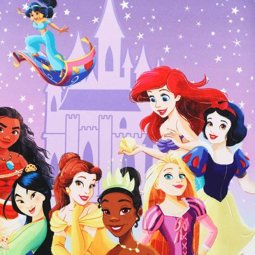 Picture of Disney Princess 2 pc. Youth Travel Set
